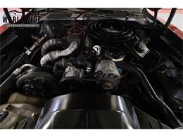 1981 Pontiac Firebird Trans Am (CC-2095991) for sale in Denver , Colorado