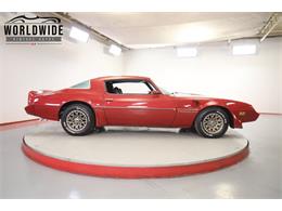 1981 Pontiac Firebird Trans Am (CC-2095991) for sale in Denver , Colorado