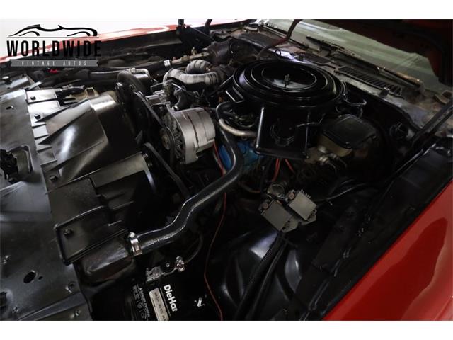 1981 Pontiac Firebird Trans Am (CC-2095991) for sale in Denver , Colorado