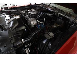 1981 Pontiac Firebird Trans Am (CC-2095991) for sale in Denver , Colorado