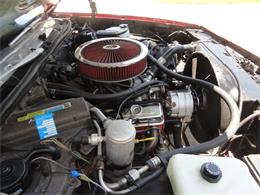 1980 Chevrolet El Camino (CC-2096042) for sale in Sarasota, Florida