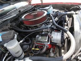 1980 Chevrolet El Camino (CC-2096042) for sale in Sarasota, Florida