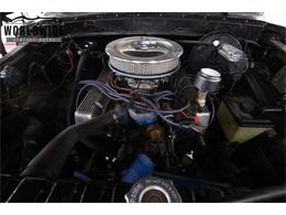 1978 Ford F100 (CC-2096058) for sale in Denver , Colorado