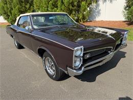 1967 Pontiac GTO (CC-2096087) for sale in Milford City, Connecticut