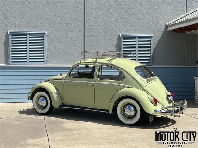 1963 Volkswagen Beetle (CC-2096106) for sale in Vero Beach, Florida