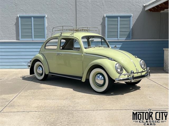 1963 Volkswagen Beetle (CC-2096106) for sale in Vero Beach, Florida