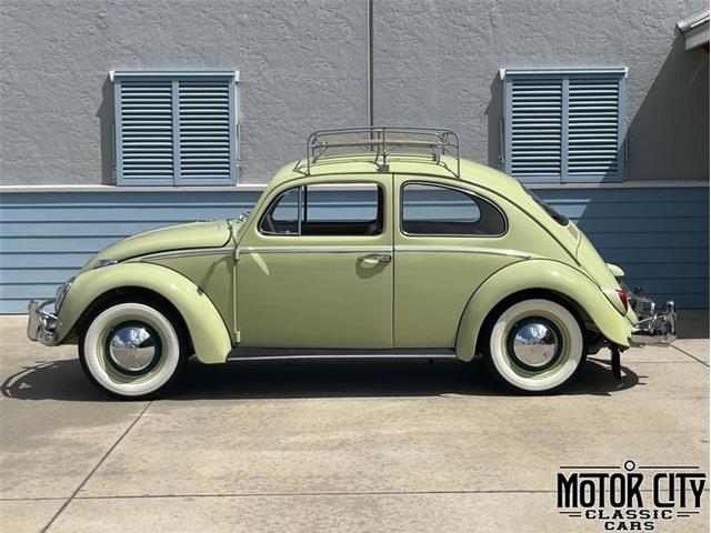 1963 Volkswagen Beetle (CC-2096106) for sale in Vero Beach, Florida
