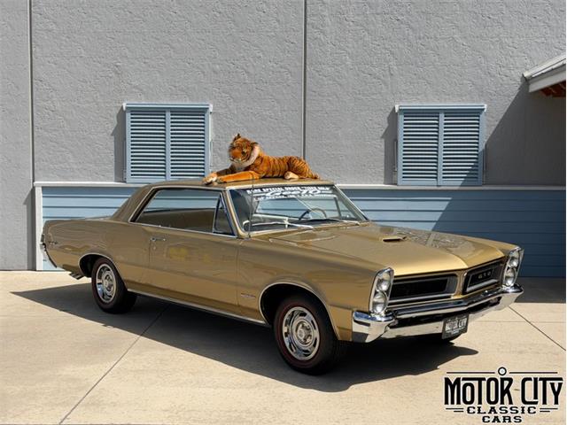 1965 Pontiac GTO (CC-2096111) for sale in Vero Beach, Florida