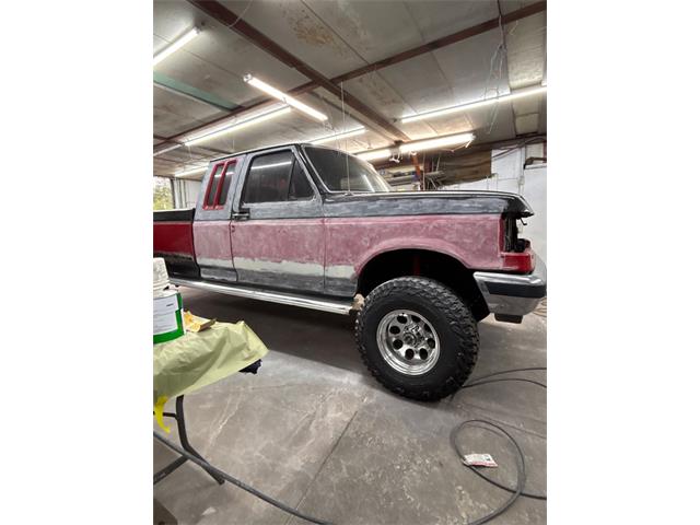 1991 Ford F150 (CC-2096115) for sale in Denver , Colorado