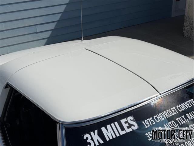 1975 Chevrolet Corvette (CC-2096119) for sale in Vero Beach, Florida