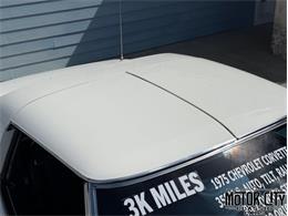1975 Chevrolet Corvette (CC-2096119) for sale in Vero Beach, Florida