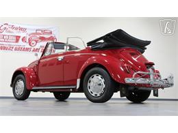 1967 Volkswagen Beetle (CC-2090616) for sale in Tulsa, Oklahoma