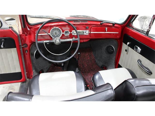 1967 Volkswagen Beetle (CC-2090616) for sale in Tulsa, Oklahoma