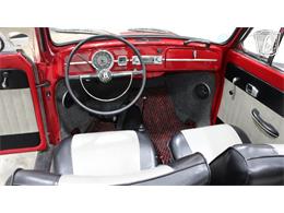 1967 Volkswagen Beetle (CC-2090616) for sale in Tulsa, Oklahoma