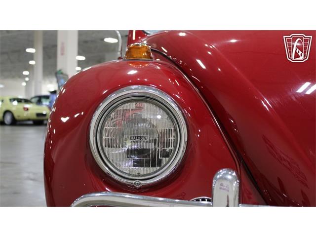 1967 Volkswagen Beetle (CC-2090616) for sale in Tulsa, Oklahoma