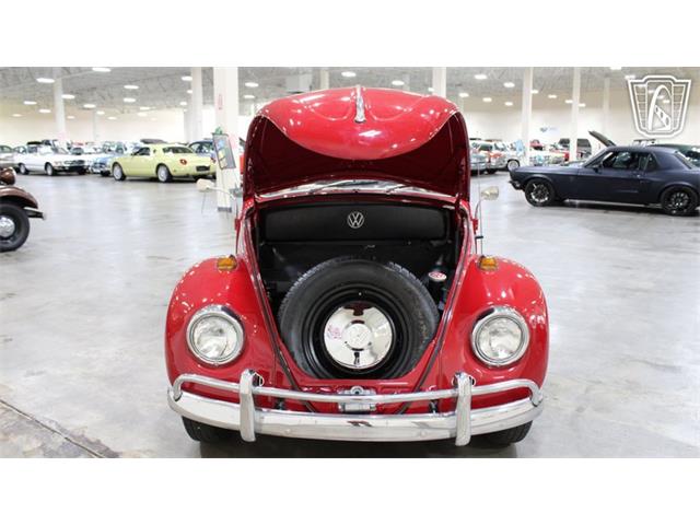 1967 Volkswagen Beetle (CC-2090616) for sale in Tulsa, Oklahoma
