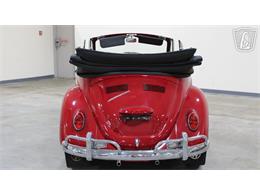 1967 Volkswagen Beetle (CC-2090616) for sale in Tulsa, Oklahoma