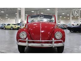 1967 Volkswagen Beetle (CC-2090616) for sale in Tulsa, Oklahoma