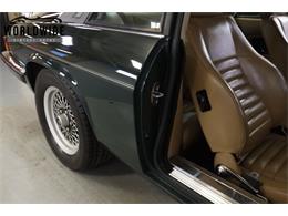 1989 Jaguar XJS (CC-2096171) for sale in Denver , Colorado