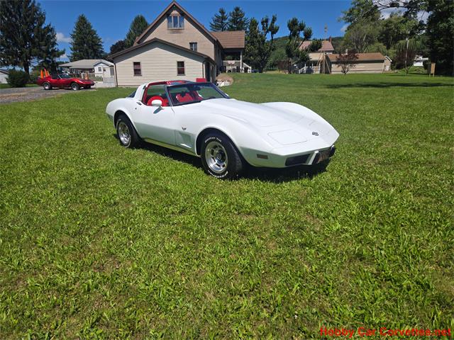 1978 Chevrolet Corvette (CC-2096275) for sale in MARTINSBURG, Pennsylvania