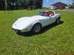 1978 Chevrolet Corvette (CC-2096275) for sale in MARTINSBURG, Pennsylvania