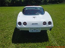 1978 Chevrolet Corvette (CC-2096275) for sale in MARTINSBURG, Pennsylvania