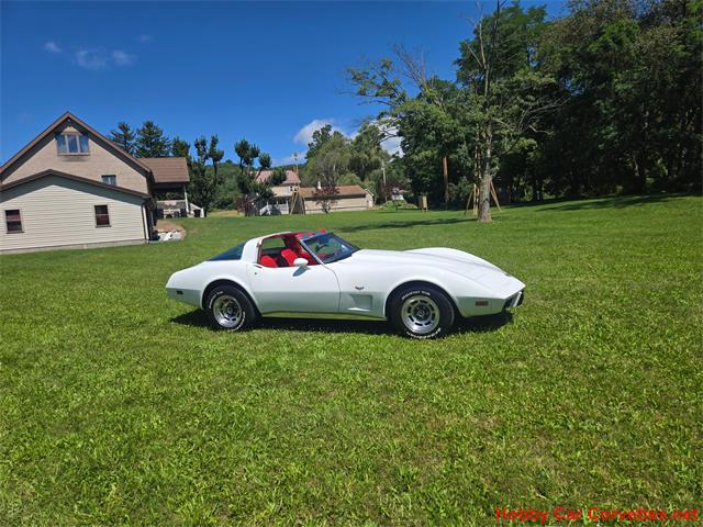 1978 Chevrolet Corvette (CC-2096275) for sale in MARTINSBURG, Pennsylvania