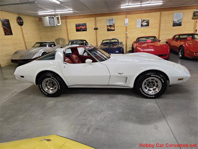 1978 Chevrolet Corvette (CC-2096275) for sale in MARTINSBURG, Pennsylvania