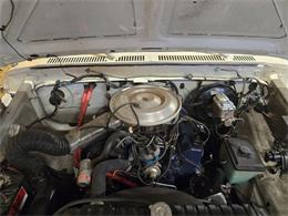 1979 Ford F250 (CC-2096277) for sale in Bunker Hill, Illinois