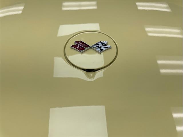 1969 Chevrolet Corvette (CC-2096296) for sale in Morgantown, Pennsylvania