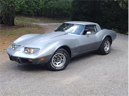 1978 Chevrolet Corvette (CC-2096350) for sale in Palmetto, Florida