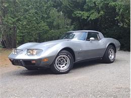 1978 Chevrolet Corvette (CC-2096350) for sale in Palmetto, Florida