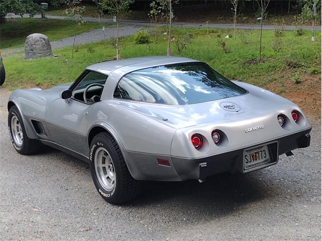 1978 Chevrolet Corvette (CC-2096350) for sale in Palmetto, Florida