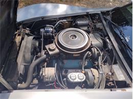1978 Chevrolet Corvette (CC-2096350) for sale in Palmetto, Florida