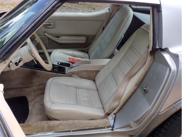 1978 Chevrolet Corvette (CC-2096350) for sale in Palmetto, Florida