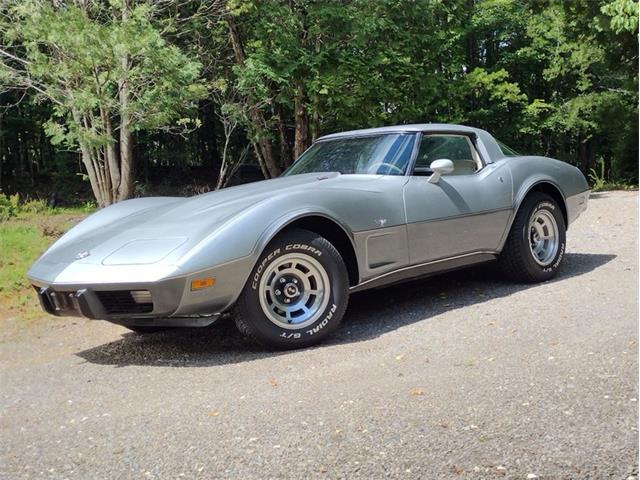 1978 Chevrolet Corvette (CC-2096350) for sale in Palmetto, Florida