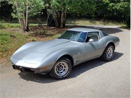 1978 Chevrolet Corvette (CC-2096350) for sale in Palmetto, Florida