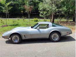 1978 Chevrolet Corvette (CC-2096350) for sale in Palmetto, Florida