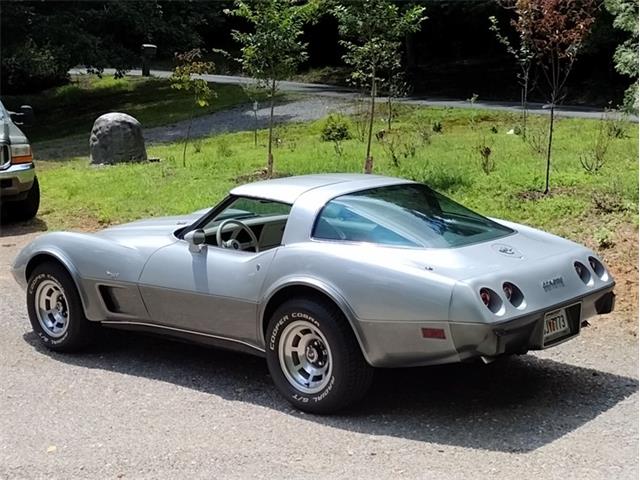 1978 Chevrolet Corvette (CC-2096350) for sale in Palmetto, Florida