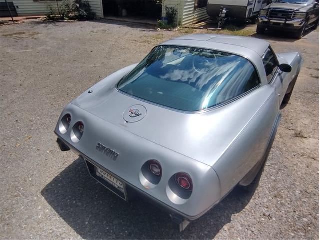 1978 Chevrolet Corvette (CC-2096350) for sale in Palmetto, Florida