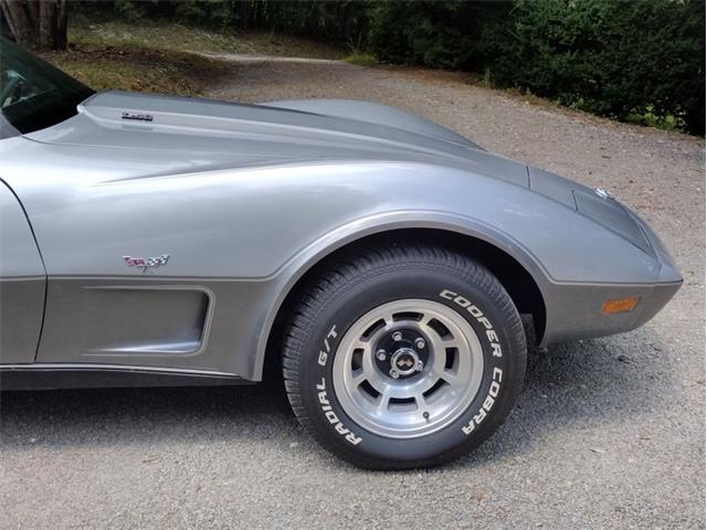1978 Chevrolet Corvette (CC-2096350) for sale in Palmetto, Florida