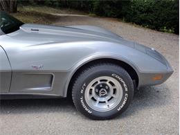 1978 Chevrolet Corvette (CC-2096350) for sale in Palmetto, Florida