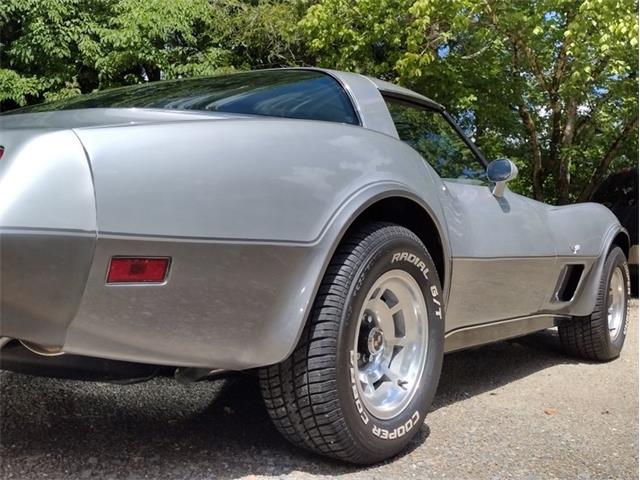 1978 Chevrolet Corvette (CC-2096350) for sale in Palmetto, Florida