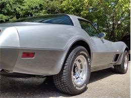 1978 Chevrolet Corvette (CC-2096350) for sale in Palmetto, Florida
