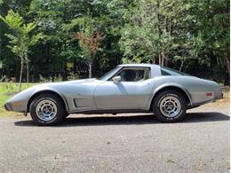 1978 Chevrolet Corvette (CC-2096350) for sale in Palmetto, Florida