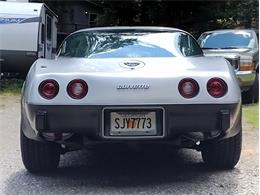 1978 Chevrolet Corvette (CC-2096350) for sale in Palmetto, Florida