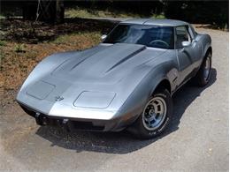 1978 Chevrolet Corvette (CC-2096350) for sale in Palmetto, Florida