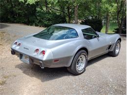 1978 Chevrolet Corvette (CC-2096350) for sale in Palmetto, Florida