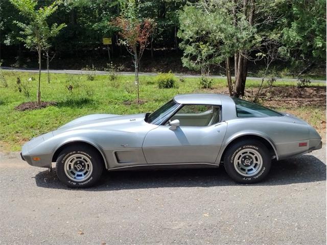 1978 Chevrolet Corvette (CC-2096350) for sale in Palmetto, Florida