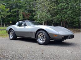 1978 Chevrolet Corvette (CC-2096350) for sale in Palmetto, Florida